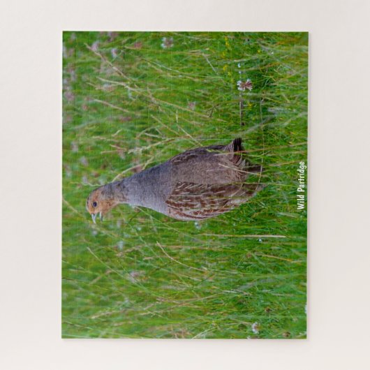 Wild Partridge Legpuzzel (Verticaal)