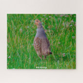 Wild Partridge Legpuzzel (Horizontaal)