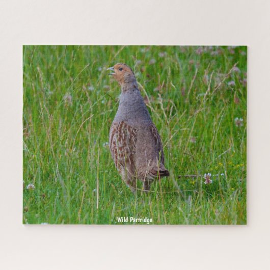 Wild Partridge Legpuzzel (Horizontaal)