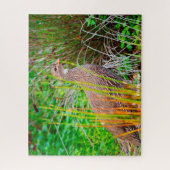 Wild Partridge Legpuzzel (Verticaal)