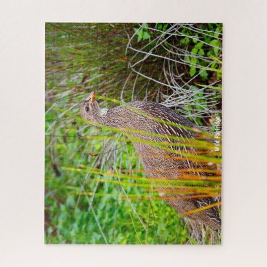 Wild Partridge Legpuzzel (Verticaal)