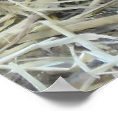 Wild Partridge Poster (Hoek)