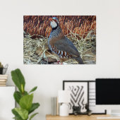 Wild Partridge Poster (Thuiskantoor)