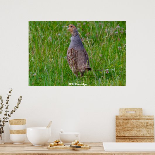 Wild Partridge Poster (Keuken)