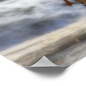 Wild Partridge Poster (Hoek)