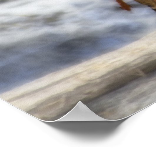 Wild Partridge Poster (Hoek)