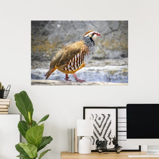Wild Partridge Poster (Thuiskantoor)