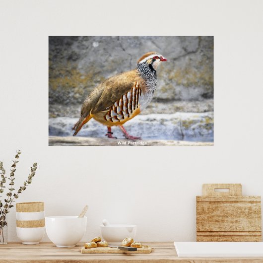 Wild Partridge Poster (Keuken)