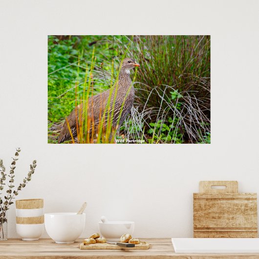 Wild Partridge Poster (Keuken)