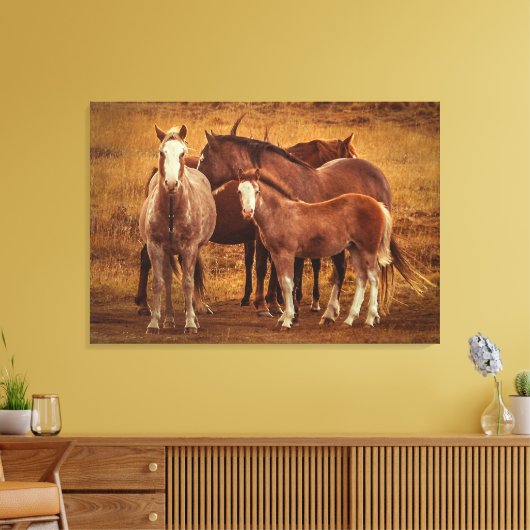 Wild Patagonia's Spirit Fotografie Canvas Afdruk (Insitu (Woonkamer))