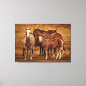 Wild Patagonia's Spirit Fotografie Canvas Afdruk (Voorkant)