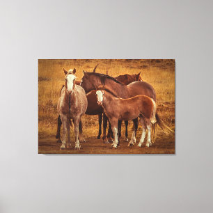 Wild Patagonia's Spirit Fotografie Canvas Afdruk