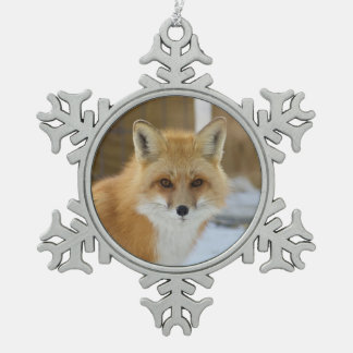 Wild Paws Alfalfa Sneeuwvlok Omlijst Ornament