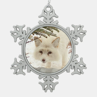 Wild Paws Coconut Sneeuwvlok Omlijst Ornament