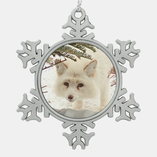 Wild Paws Coconut Snowflake Framed Ornament (Voorkant)