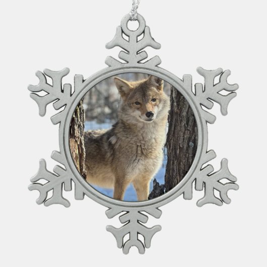 Wild Paws Daphne Sneeuwvlok Omlijst Ornament (Voorkant)