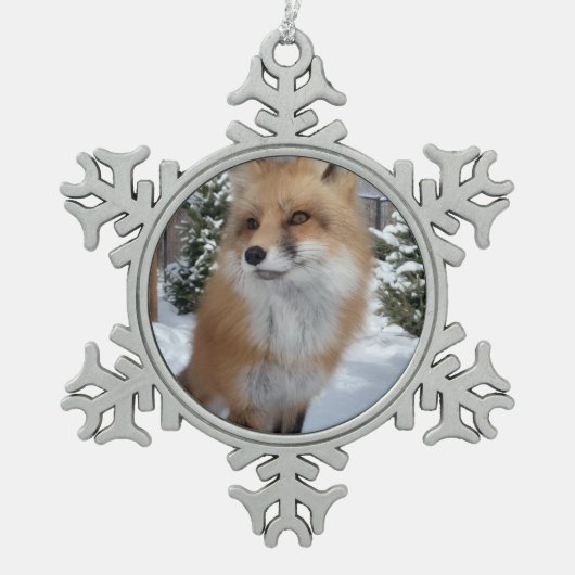 Wild Paws Finneas Snowflake Framed Ornament (Voorkant)