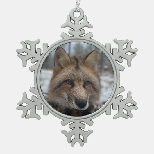 Wild Paws Flash Sneeuwvlok Omlijst Ornament (Voorkant)