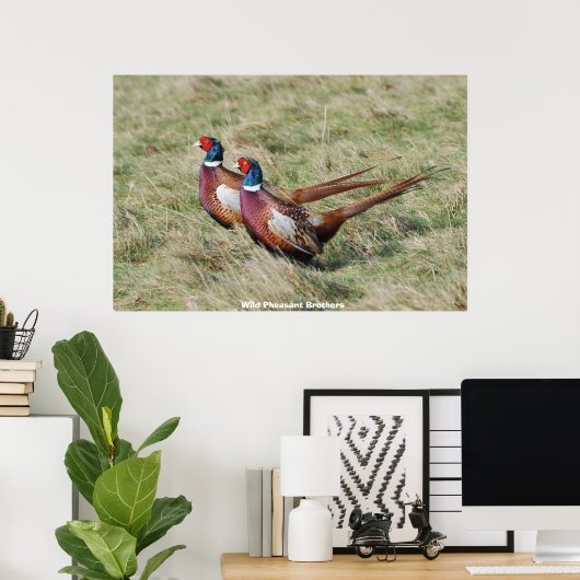 Wild Pheasant Brothers Poster (Thuiskantoor)
