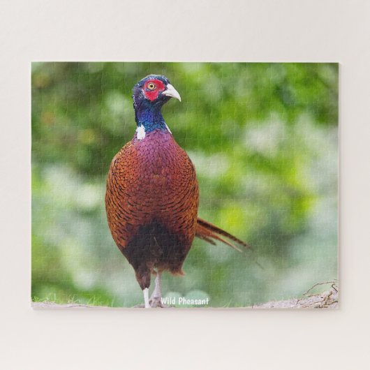 Wild Pheasant Legpuzzel (Horizontaal)