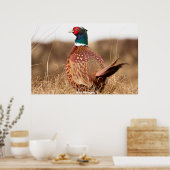 Wild Pheasant Poster (Keuken)
