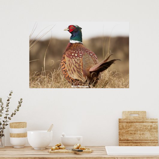 Wild Pheasant Poster (Keuken)