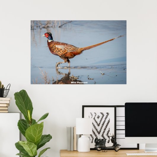 Wild Pheasant Poster (Thuiskantoor)