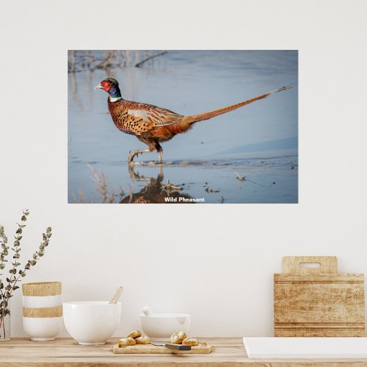 Wild Pheasant Poster (Keuken)