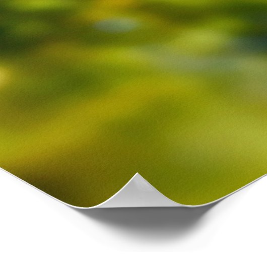 Wild Pheasant Poster (Hoek)