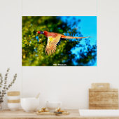 Wild Pheasant Poster (Keuken)
