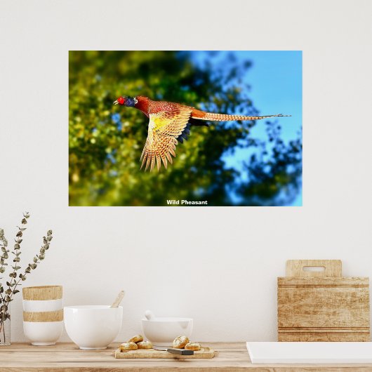 Wild Pheasant Poster (Keuken)