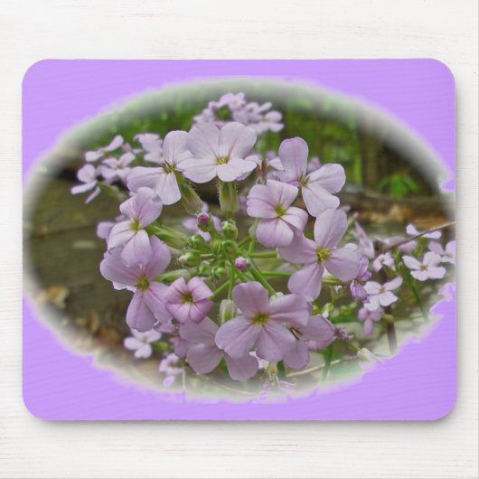 Wild Phlox Mousepad Muismat (Voorkant)