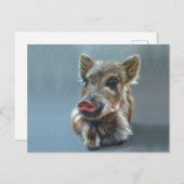 Wild piggy Postcard Briefkaart (Voorkant / Achterkant)