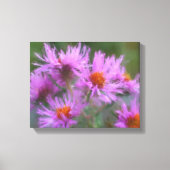 Wild Pink Asters Flower Art Canvas Afdruk (Voorkant)