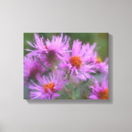 Wild Pink Asters Flower Art Canvas Afdruk (Voorkant)