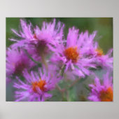 Wild Pink Asters Flower Art Poster (Voorkant)