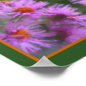Wild Pink Asters Flower Art Poster (Hoek)