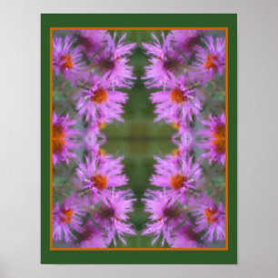 Wild Pink Asters Flower Art Poster