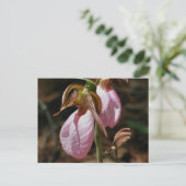 Wild Pink Lady Slipper Bloemen Briefkaart (Staand voorkant)