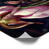 Wild Pink Lady Slipper Orchid Lijst Uw foto toevoe Poster (Hoek)