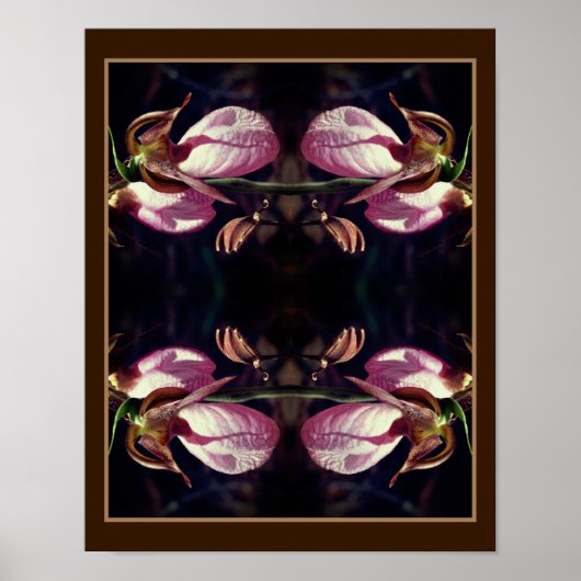 Wild Pink Lady Slipper Orchid Pair Abstract Poster (Voorkant)