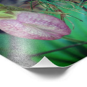 Wild Pink Lady Slipper Orchidee en Evergreens 8x10 Foto Afdruk (Hoek)