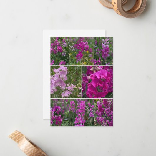 Wild Pink Pea Collage Notitiekaartje (Voorkant / Achterkant in situ)
