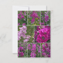 Wild Pink Pea Collage Notitiekaartje