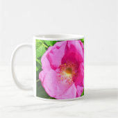 Wild Pink Rose Photo Trust in het Bijbelvers van d Koffiemok (Links)