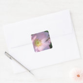 Wild Pink Rose Sticker (Envelop)