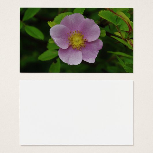 Wild Pink Rose Visitekaartje (Voorkant /achterkant)