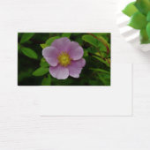 Wild Pink Rose Visitekaartje (Bureau)