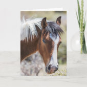 Wild Pinto Filly Kaart (Voorkant)