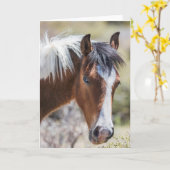 Wild Pinto Filly Kaart (Gele Bloem)